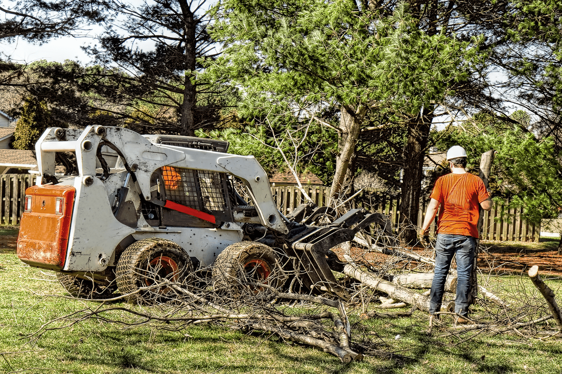 Professional tree service company in Joplin, MO - Offering comprehensive tree removal solutions
