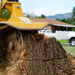 Expert stump removal services in Joplin, MO - Your trusted local tree care specialists.