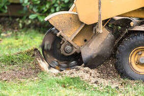 Skilled professionals offering precise stump removal in Joplin, MO - Transform your outdoor space